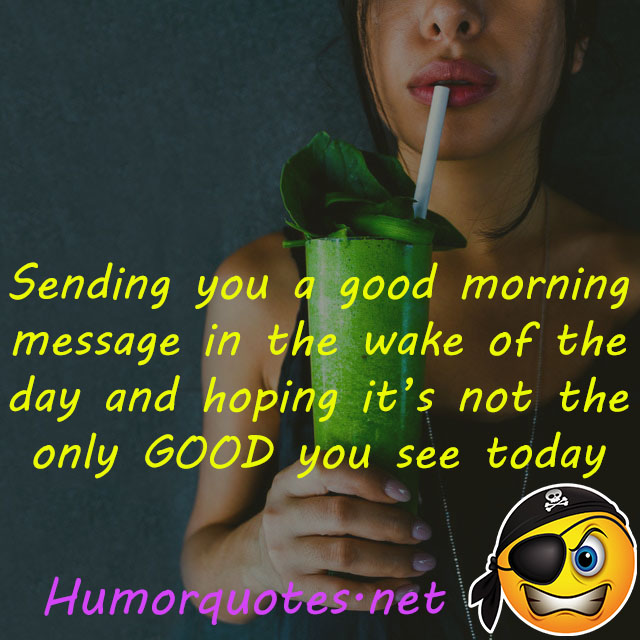 humor have a nice day messages