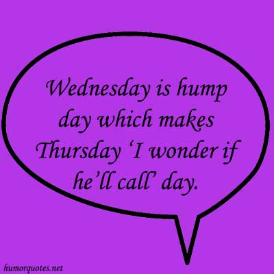 humor sayings