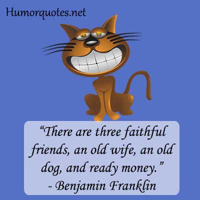 Funny quotes for companion