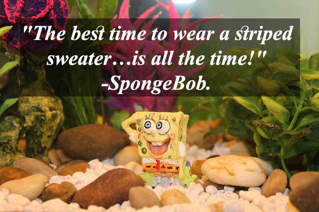 spongebob funny quotes