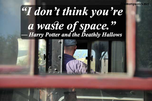50+ Funny Harry Potter Quotes That Will Make You Lol