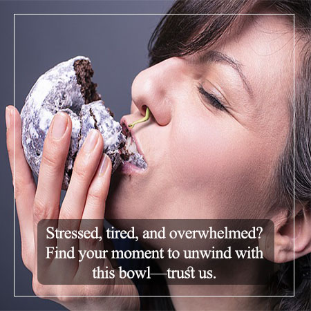 Funny stress eating quotes