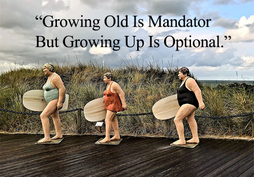 Short funny quotes about aging