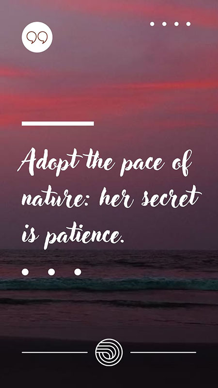 Adopt-the-pace-of-nature-her-secret-is-patience