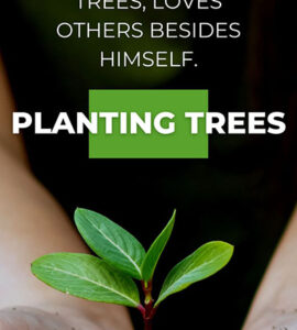 Inspirational-Quotes-About-Planting-Trees-for-Future-Generation