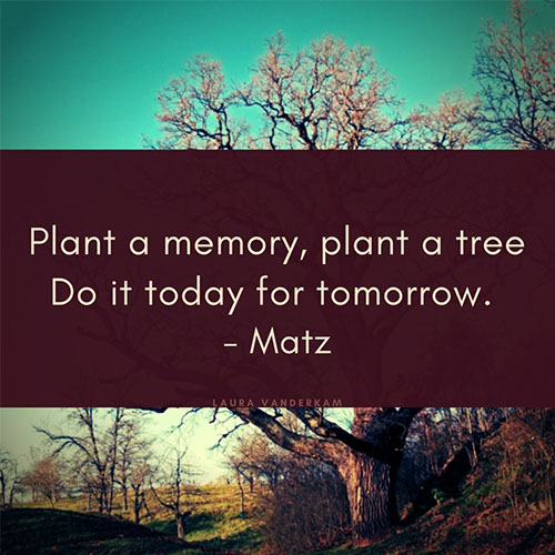 Plant-a-memory-plant-a-tree-do-it-today-for-tomorrow