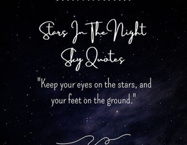 Stars-In-The-Night-Sky-Quotes