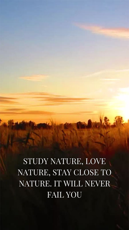 Study-nature-love-nature-stay-close-to-nature-It-will-never-fail-you