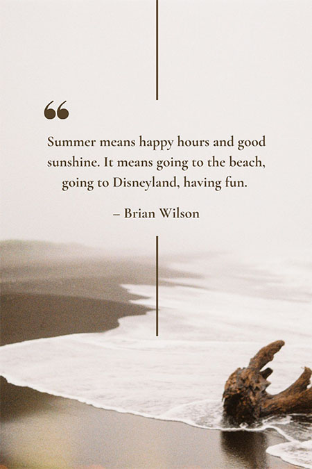 Summer-means-happy-hours-and-good-sunshine-It-means-going-to-the-beach-going-to-Disneyland-having-fun