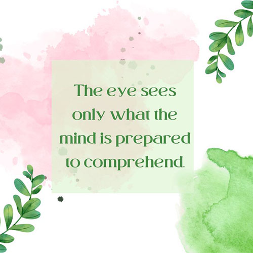The-eye-sees-only-what-the-mind-is-prepared-to-comprehend