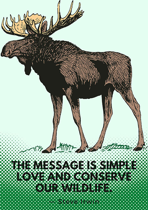 The-message-is-simple-love-and-conserve-our-wildlife