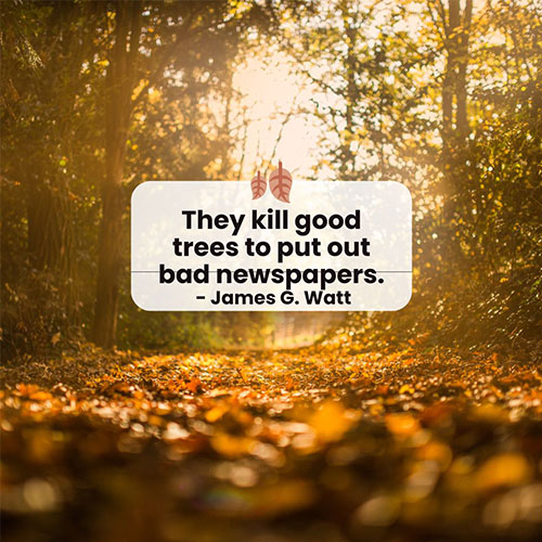 They-kill-good-trees-to-put-out-bad-newspapers