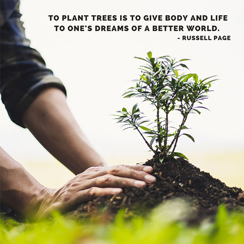 To-plant-trees-is-to-give-body-and-life-to-ones-dreams-of-a-better-world