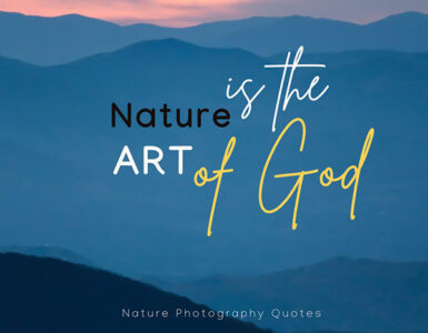 nature-photography-quotes