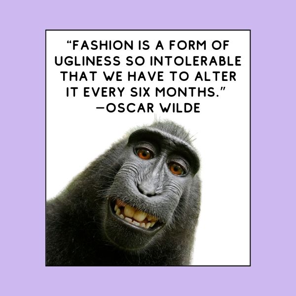 funny fashion quote